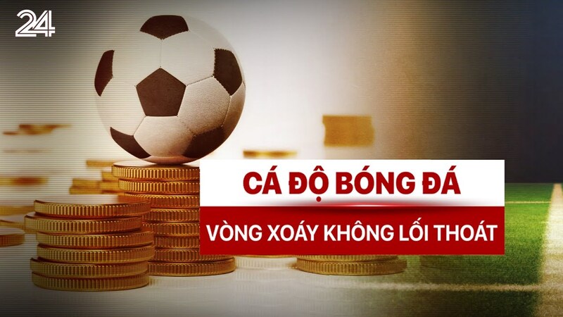 Cá Độ Bóng Đá